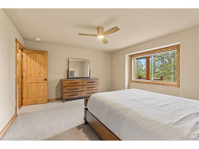 181 Valley Of The Sun Dr, Fairplay, CO 80440