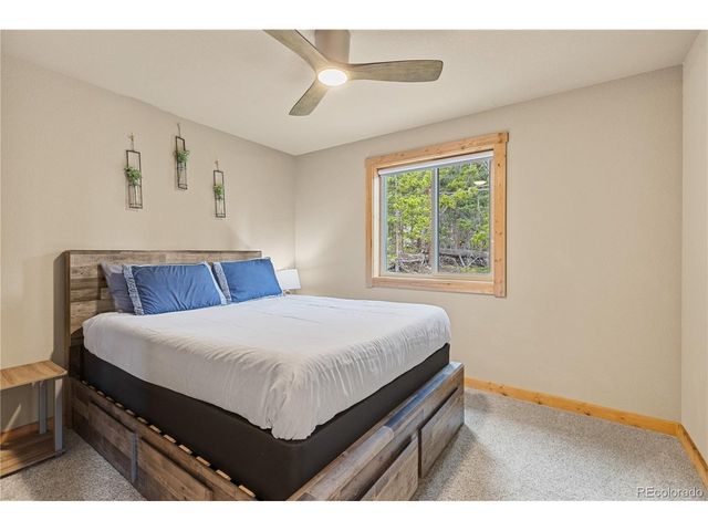 181 Valley Of The Sun Dr, Fairplay, CO 80440