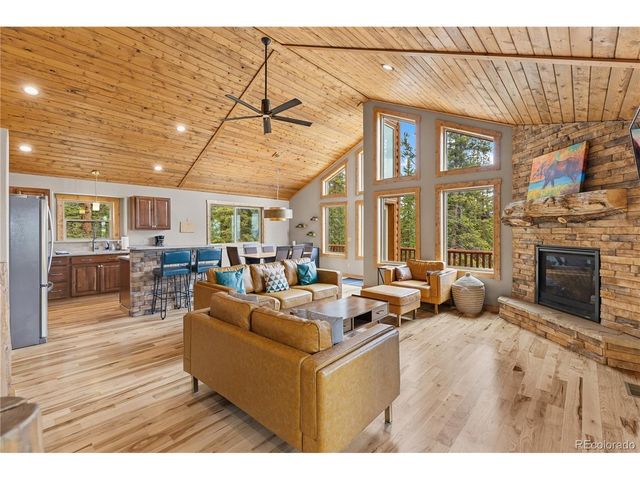 181 Valley Of The Sun Dr, Fairplay, CO 80440