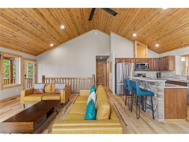 181 Valley Of The Sun Dr, Fairplay, CO 80440