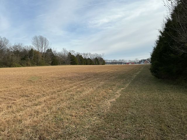 120 Three Forks Bridge Rd, Wartrace, TN 37183