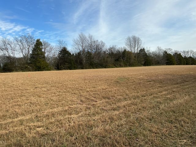 120 Three Forks Bridge Rd, Wartrace, TN 37183