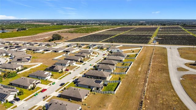 1899 AMBER SWEET CIRCLE, Dundee, FL 33838