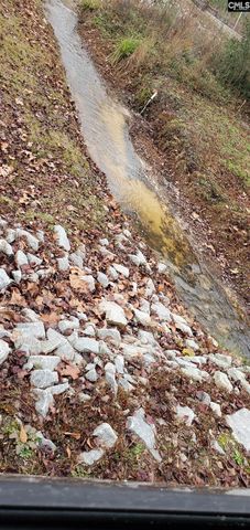 318 W Pond Court, Lexington, SC 29073