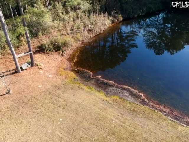 318 W Pond Court, Lexington, SC 29073