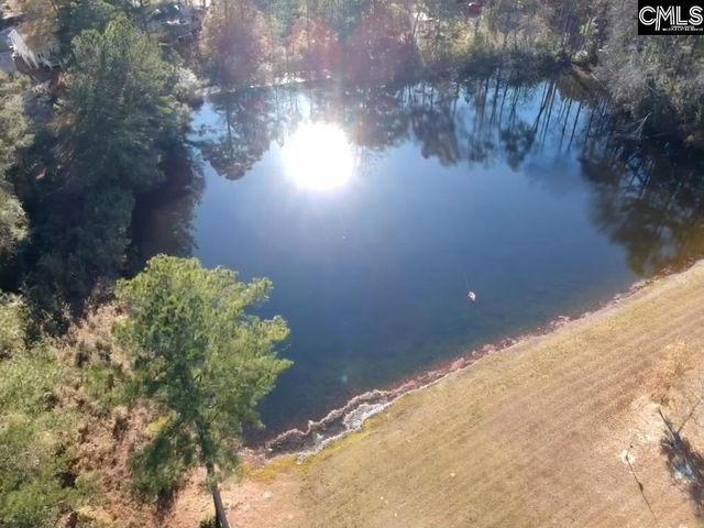 318 W Pond Court, Lexington, SC 29073