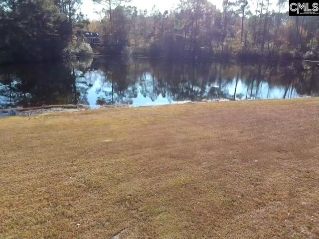 318 W Pond Court, Lexington, SC 29073