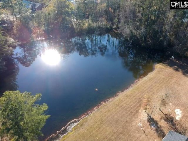 318 W Pond Court, Lexington, SC 29073