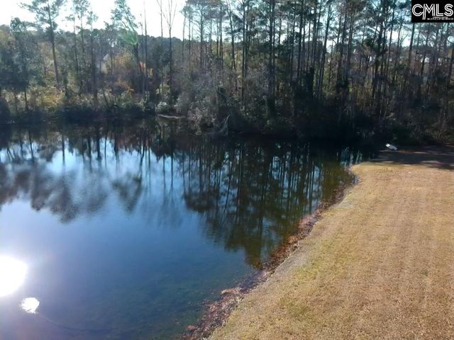 318 W Pond Court, Lexington, SC 29073