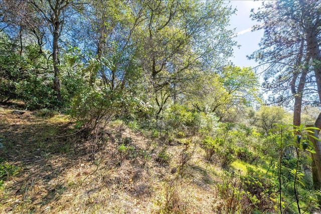 918 Woodpecker Ct, Placerville, CA 95667