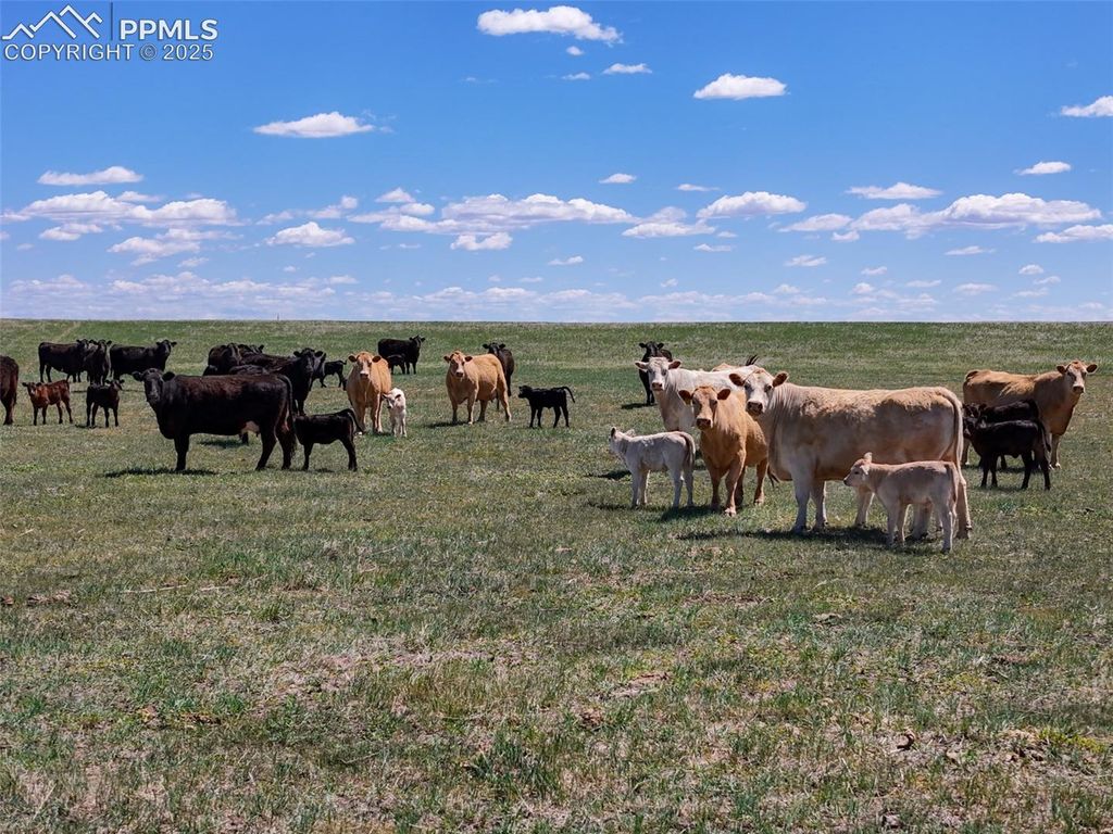 18497 County Road 197, Limon, CO 80828 — exterior