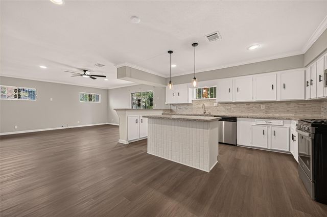 917 Defender Street, Houston, TX 77029