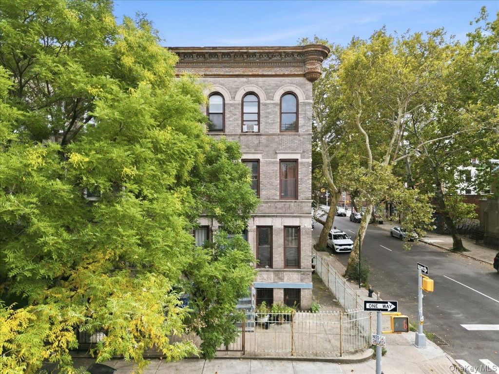 654 Mac Donough Street, Brooklyn, NY 11233 — photo 2