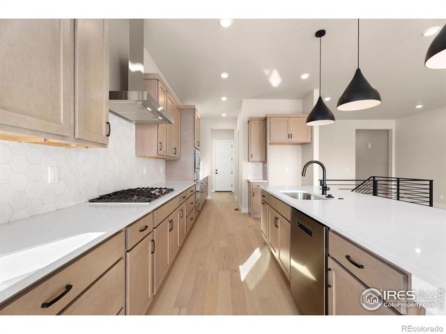 1585 Winter Glow Drive, Windsor, CO 80550