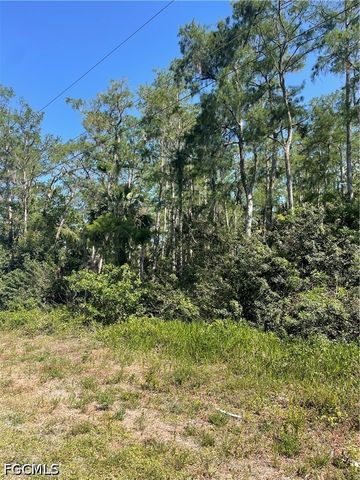 666 Knapp ST, Lehigh Acres, FL 33974