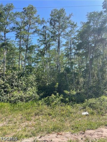 666 Knapp ST, Lehigh Acres, FL 33974