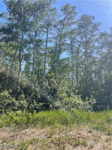 666 Knapp ST, Lehigh Acres, FL 33974