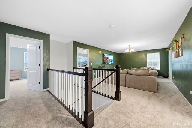 966 Bridle Hill Drive, New Lenox, IL 60451