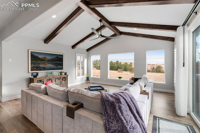 2119 Seaglass Street, Colorado Springs, CO 80921