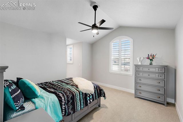 2119 Seaglass Street, Colorado Springs, CO 80921