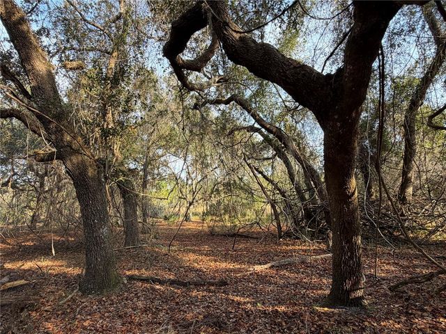 6966 E TURNER CAMP ROAD, Inverness, FL 34453