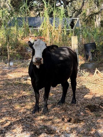 6966 E TURNER CAMP ROAD, Inverness, FL 34453