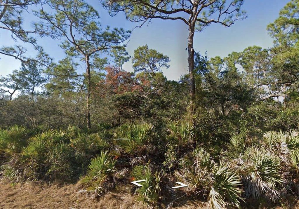 3249 GLEN SPRINGS AVENUE, Lake Placid, FL 33852