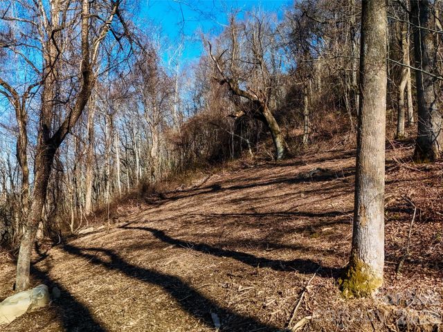 58 & 64 Flora Rose Trail 6A & 6B, Asheville, NC 28803