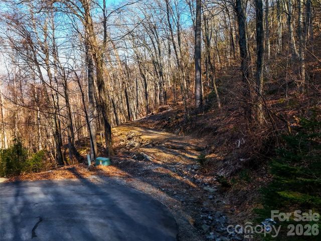 58 & 64 Flora Rose Trail 6A & 6B, Asheville, NC 28803