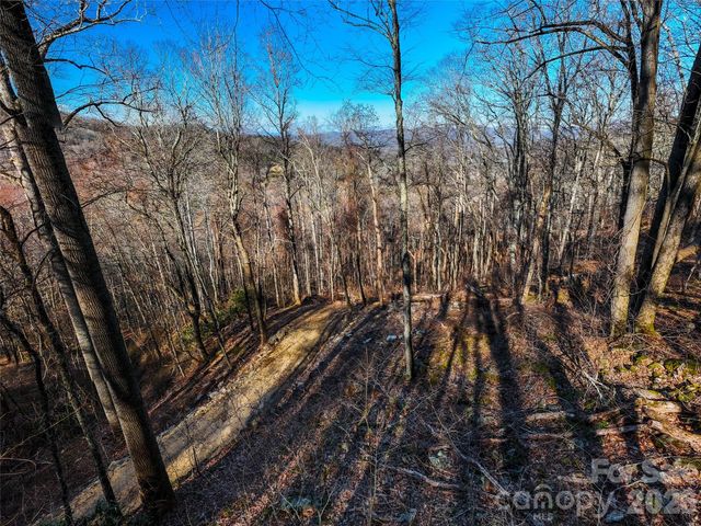 58 & 64 Flora Rose Trail 6A & 6B, Asheville, NC 28803