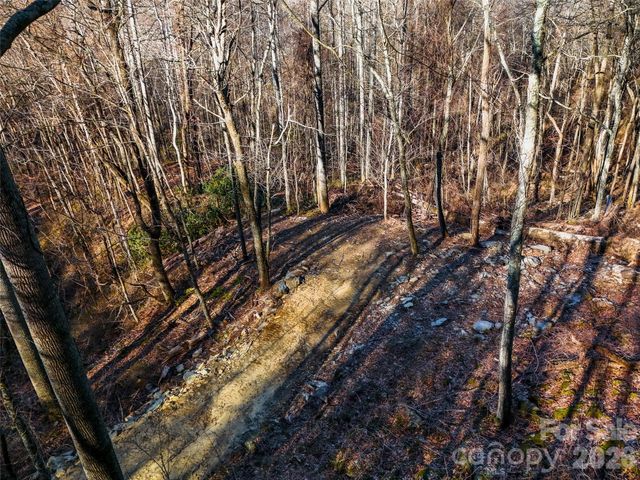 58 & 64 Flora Rose Trail 6A & 6B, Asheville, NC 28803
