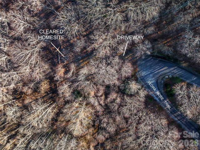 58 & 64 Flora Rose Trail 6A & 6B, Asheville, NC 28803