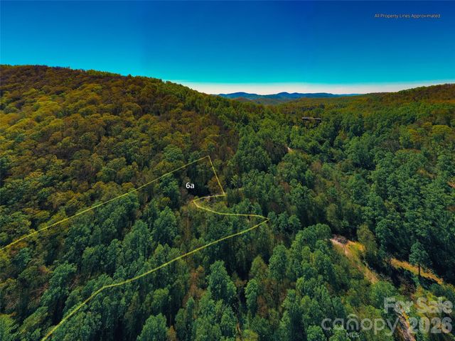 58 & 64 Flora Rose Trail 6A & 6B, Asheville, NC 28803