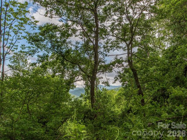 58 & 64 Flora Rose Trail 6A & 6B, Asheville, NC 28803