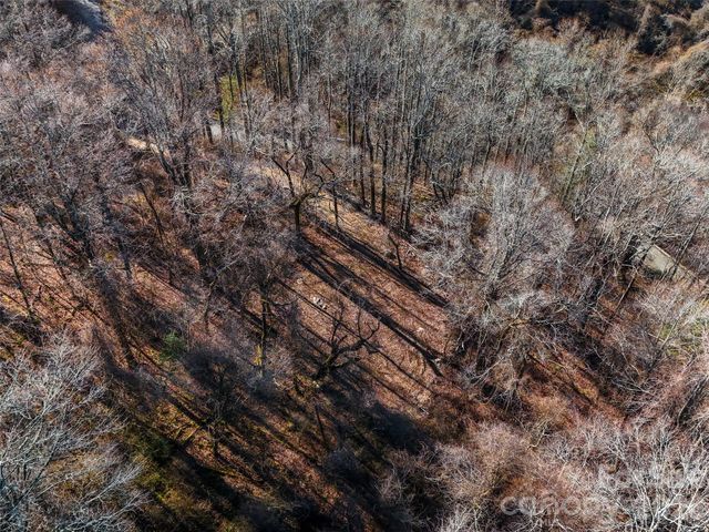 58 & 64 Flora Rose Trail 6A & 6B, Asheville, NC 28803