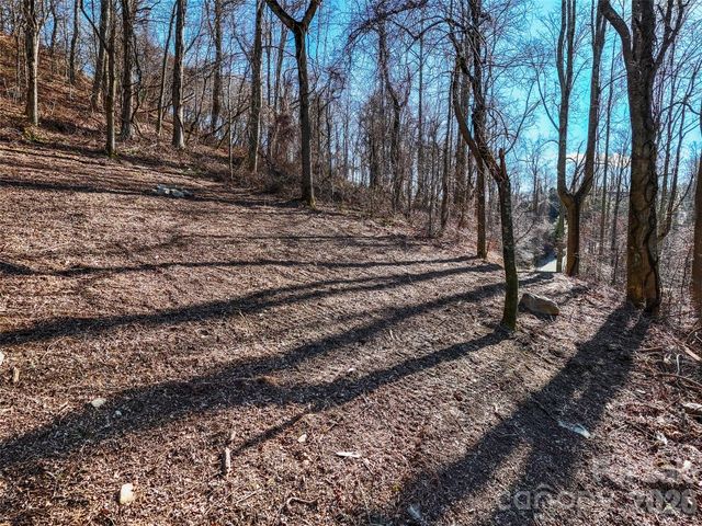 58 & 64 Flora Rose Trail 6A & 6B, Asheville, NC 28803