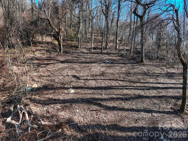 58 & 64 Flora Rose Trail 6A & 6B, Asheville, NC 28803