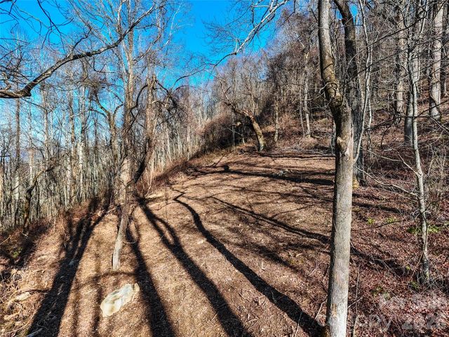 58 & 64 Flora Rose Trail 6A & 6B, Asheville, NC 28803
