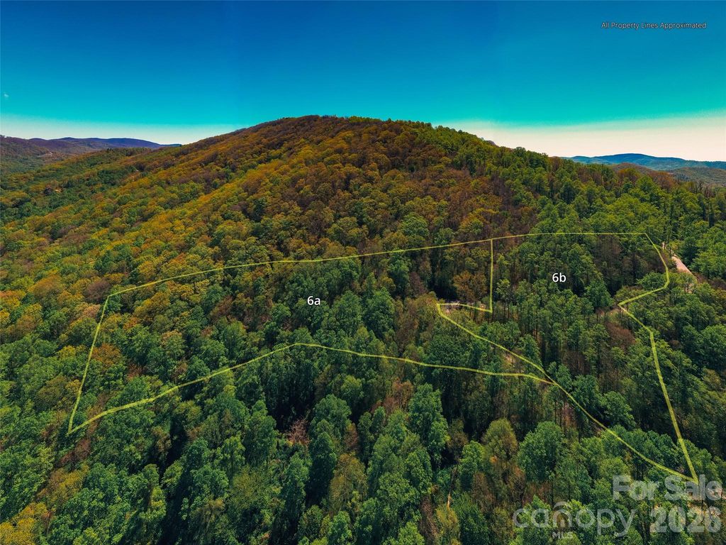 58 & 64 Flora Rose Trail 6A & 6B, Asheville, NC 28803