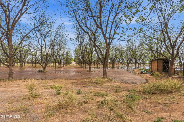 617 WALLACE Road, Anthony, NM 88021