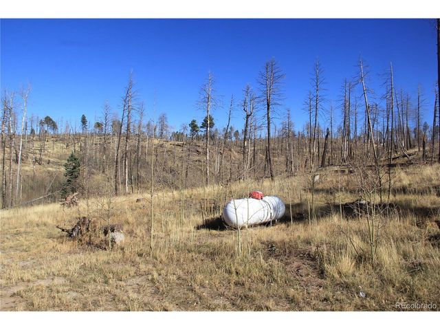 958 Forbes Park Rd, Fort Garland, CO 81133