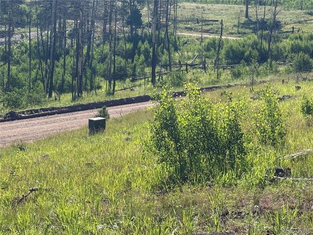 775 Forbes Park Rd, Fort Garland, CO 81133