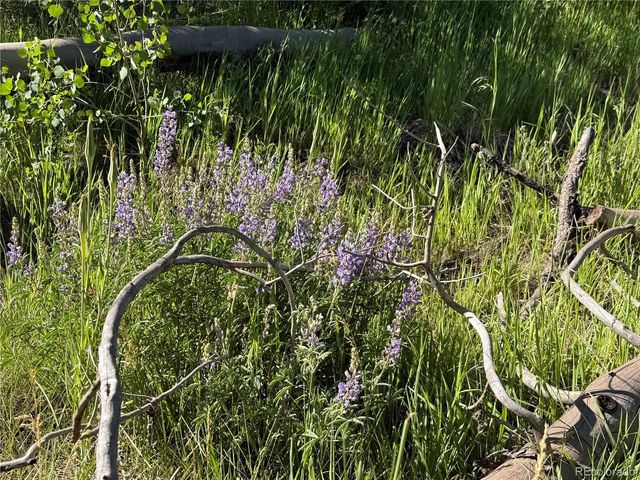 775 Forbes Park Rd, Fort Garland, CO 81133