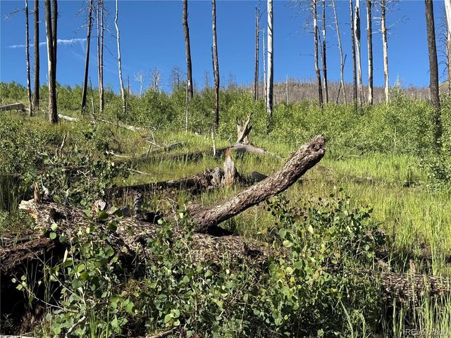 775 Forbes Park Rd, Fort Garland, CO 81133