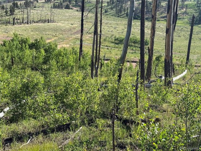 775 Forbes Park Rd, Fort Garland, CO 81133