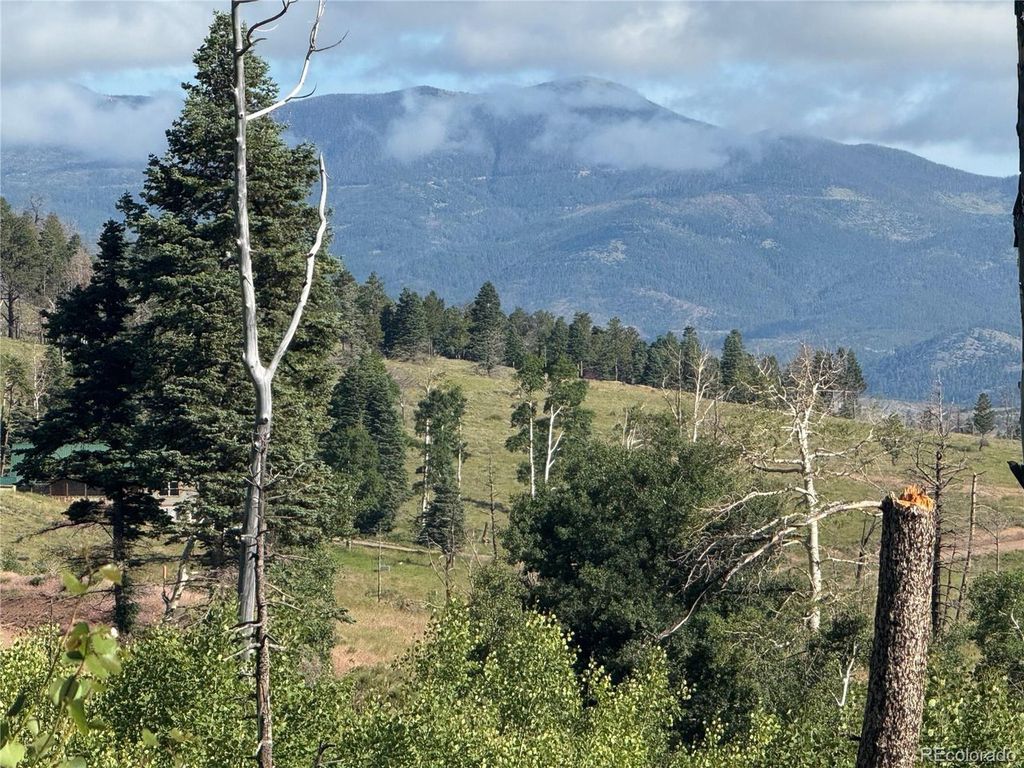 775 Forbes Park Rd, Fort Garland, CO 81133