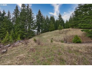15 BROOKSIDE Dr, White Salmon, WA 98672