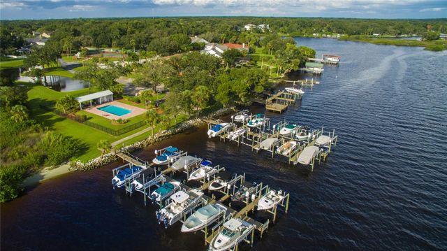 8809 EAGLE WATCH DRIVE, Riverview, FL 33578