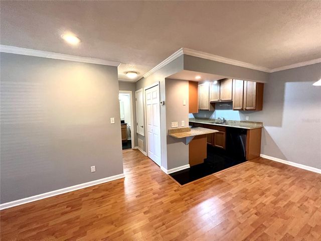 2880 PLAZA TERRACE DRIVE 2880, Orlando, FL 32803