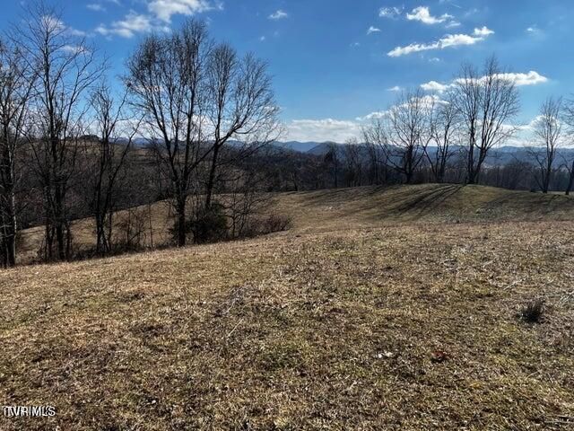 14251 Nickelsville Hwy Highway, Nickelsville, VA 24271